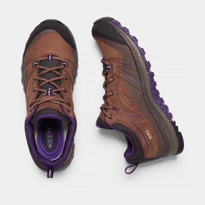 Keen Terradora Leather Waterproof Womens Hiking Shoes Brown/Purple Clearance (7204-LHVST)